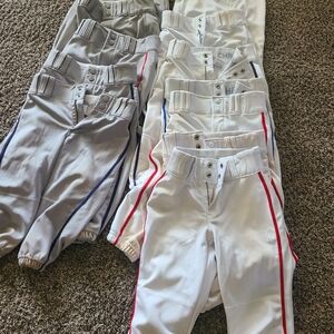 Champro Baseball Knickers (12 Pair)